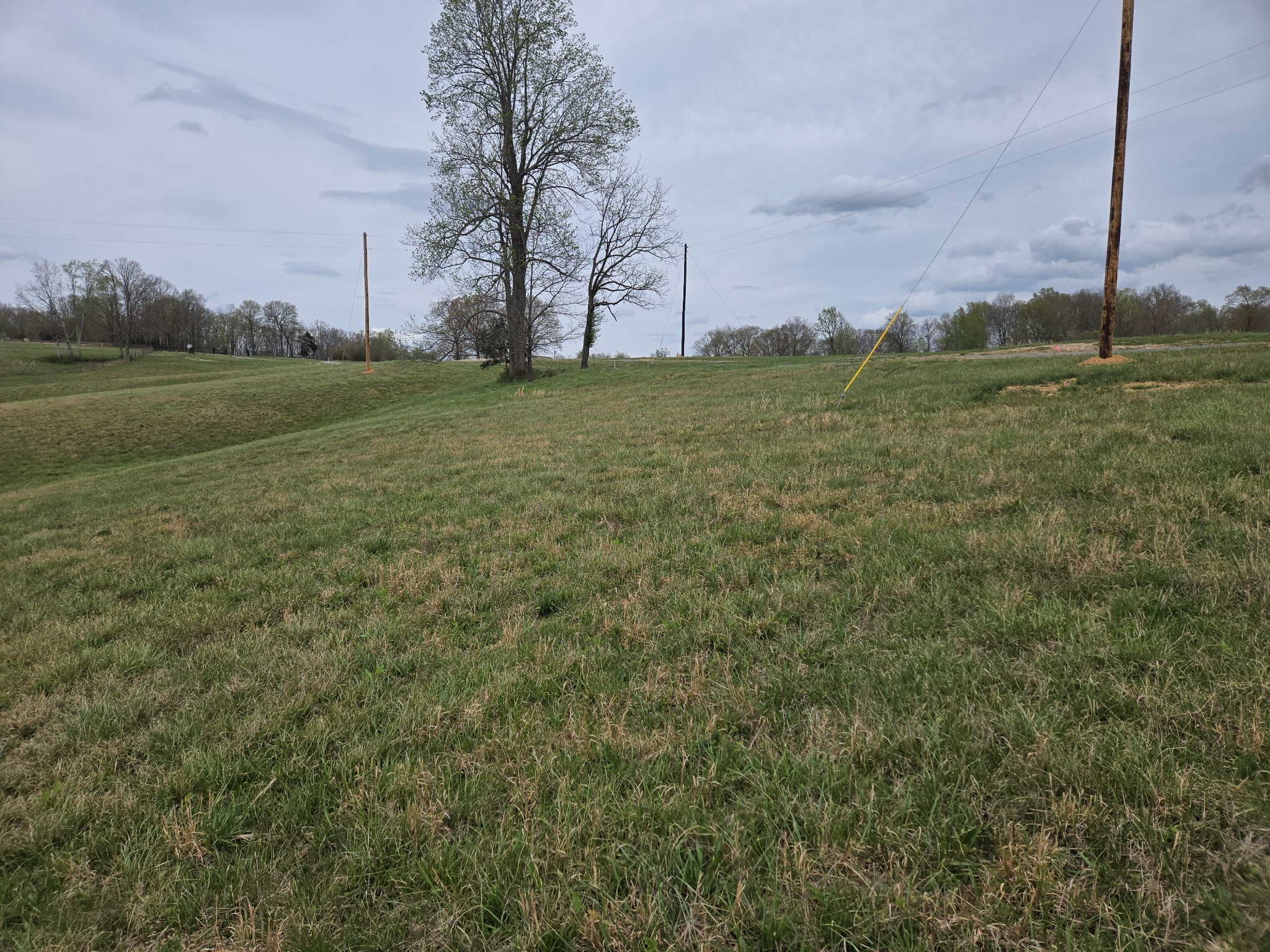 0 Cowan Road Dickson, TN 37055 - Photo 13 of 18 a big yard with lots of green space and palm trees