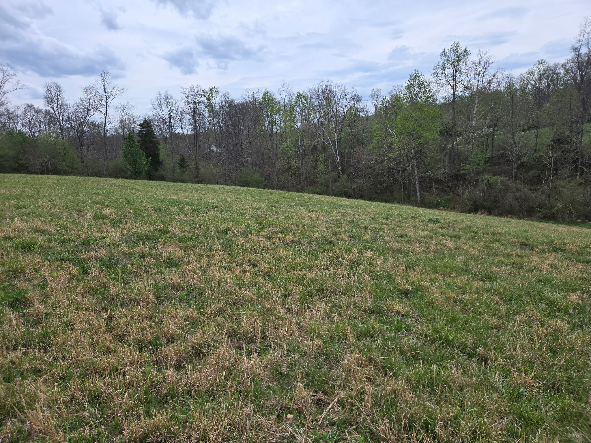 0 Cowan Road Dickson, TN 37055 - Photo 14 of 18
