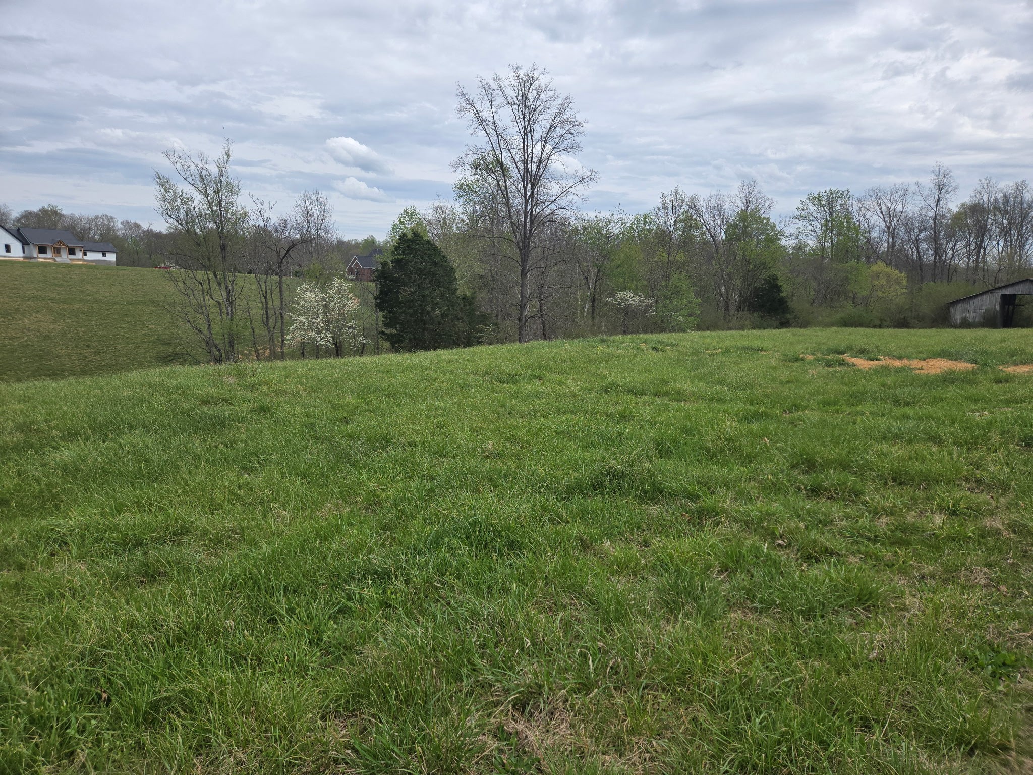0 Cowan Road Dickson, TN 37055 - Photo 7 of 18 a view of a field of grass and trees