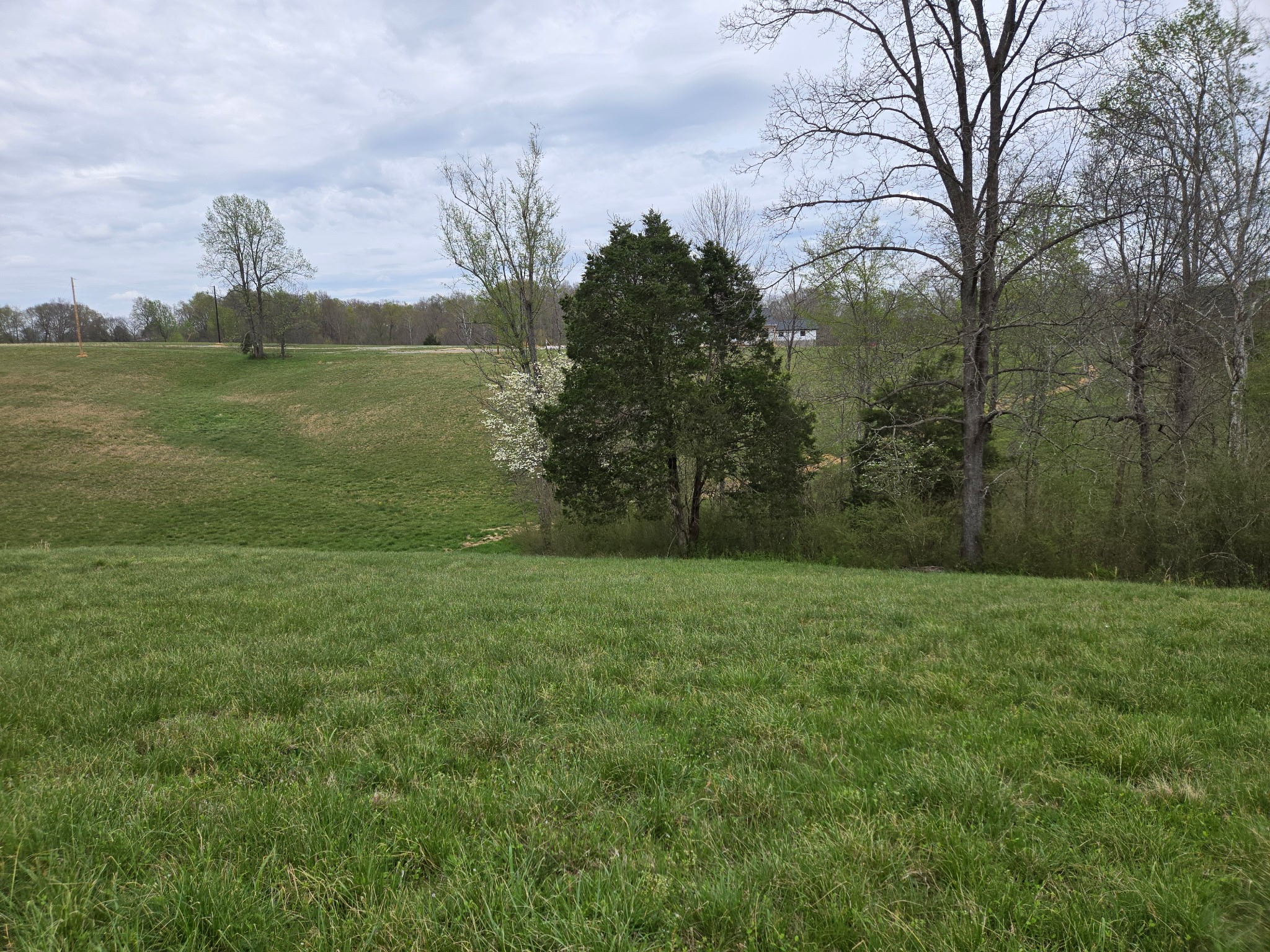 0 Cowan Road Dickson, TN 37055 - Photo 10 of 18 a view of a field with trees in the background