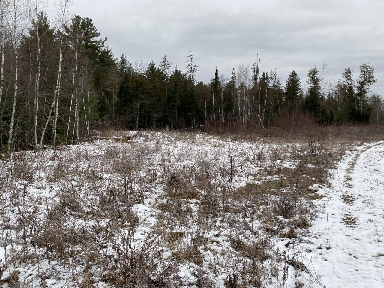 Lot 32-2 Bog Road Troy, ME 04987 - Photo 3 of 7 Open small field near middle of property