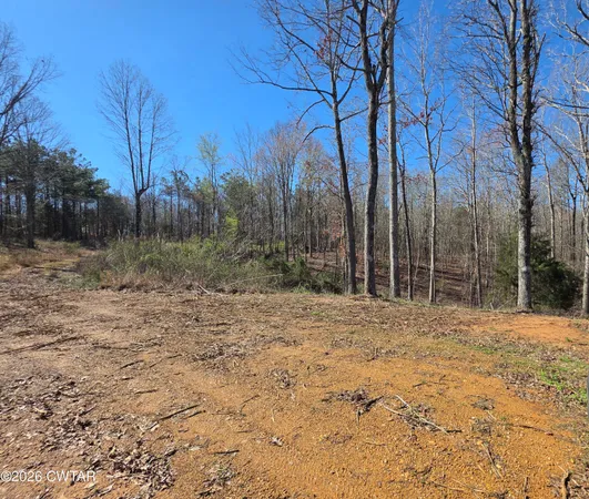 $35,000 | 9770 Highway 100, Reagan, TN 38368