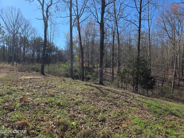 $35,000 | 9770 Highway 100, Reagan, TN 38368