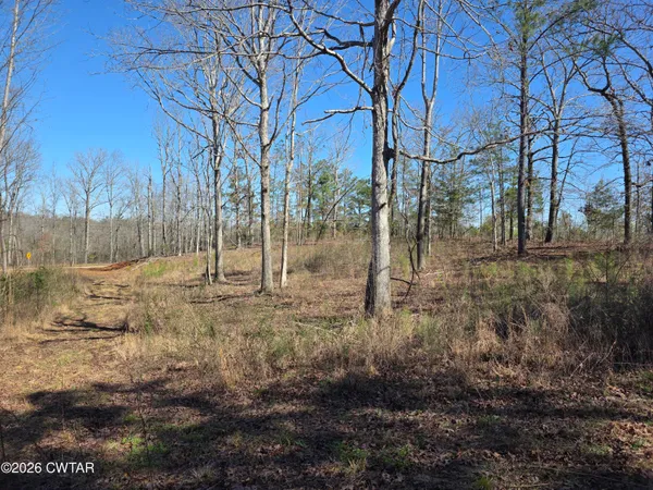 $35,000 | 9770 Highway 100, Reagan, TN 38368