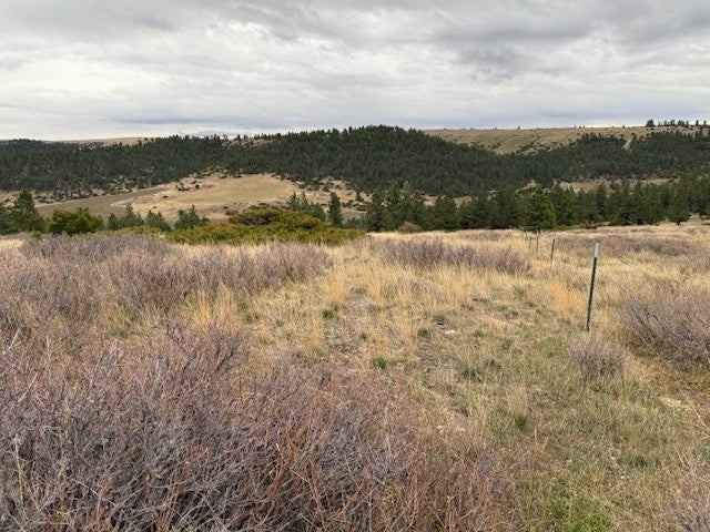 Tbd Brumfield Rd Tbd Brumfield Road Reed Point, MT 59069 - Photo 8 of 24 Gallery Image 8