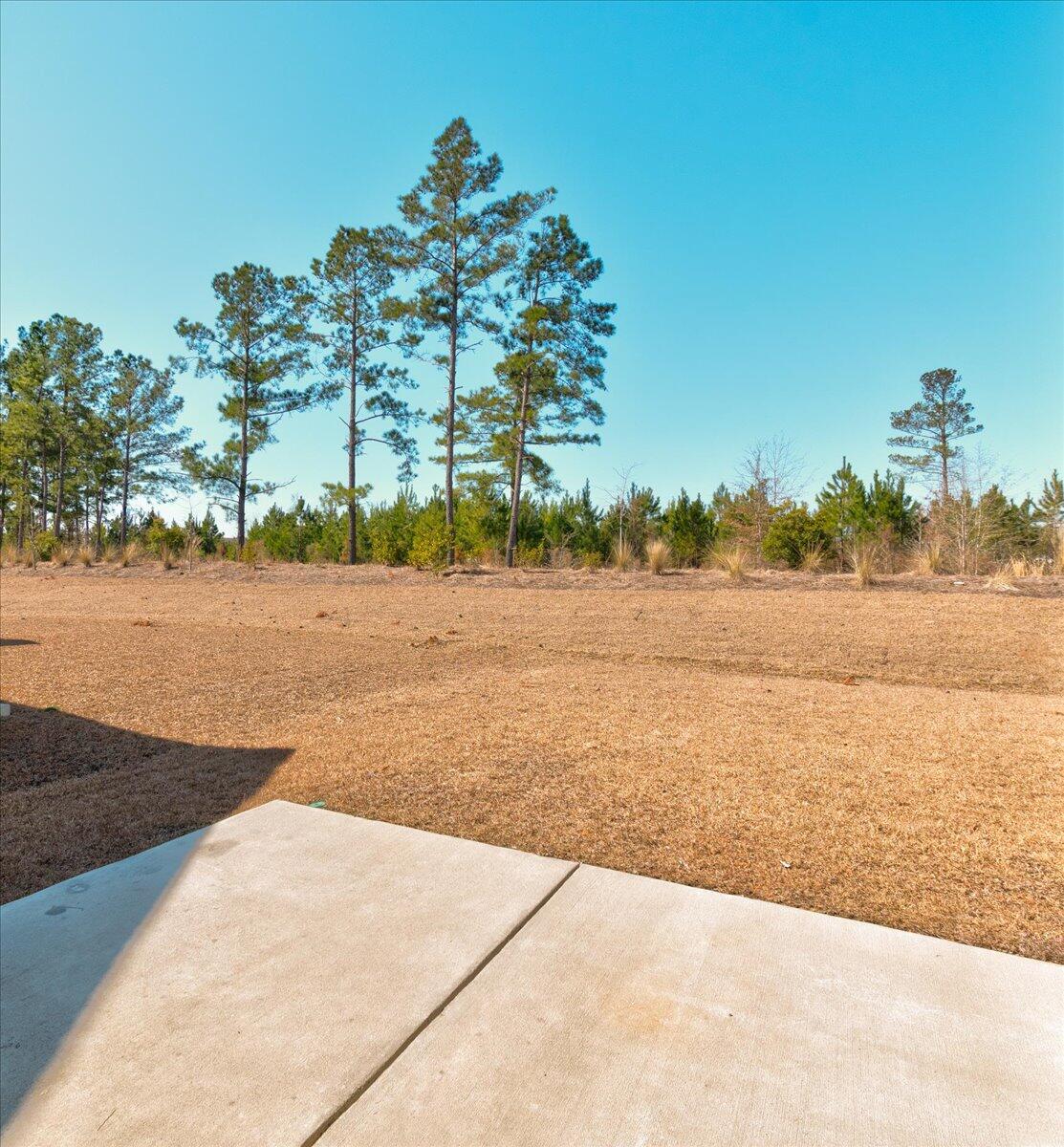 203 Hayworth Road Summerville, SC 29486 - Photo 24 of 31 Backyard