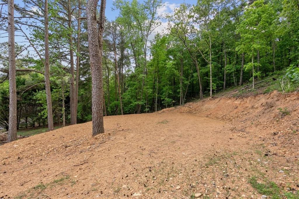 307 Moores Ferry Road Southwest Plainville, GA 30733 - Photo 3 of 14