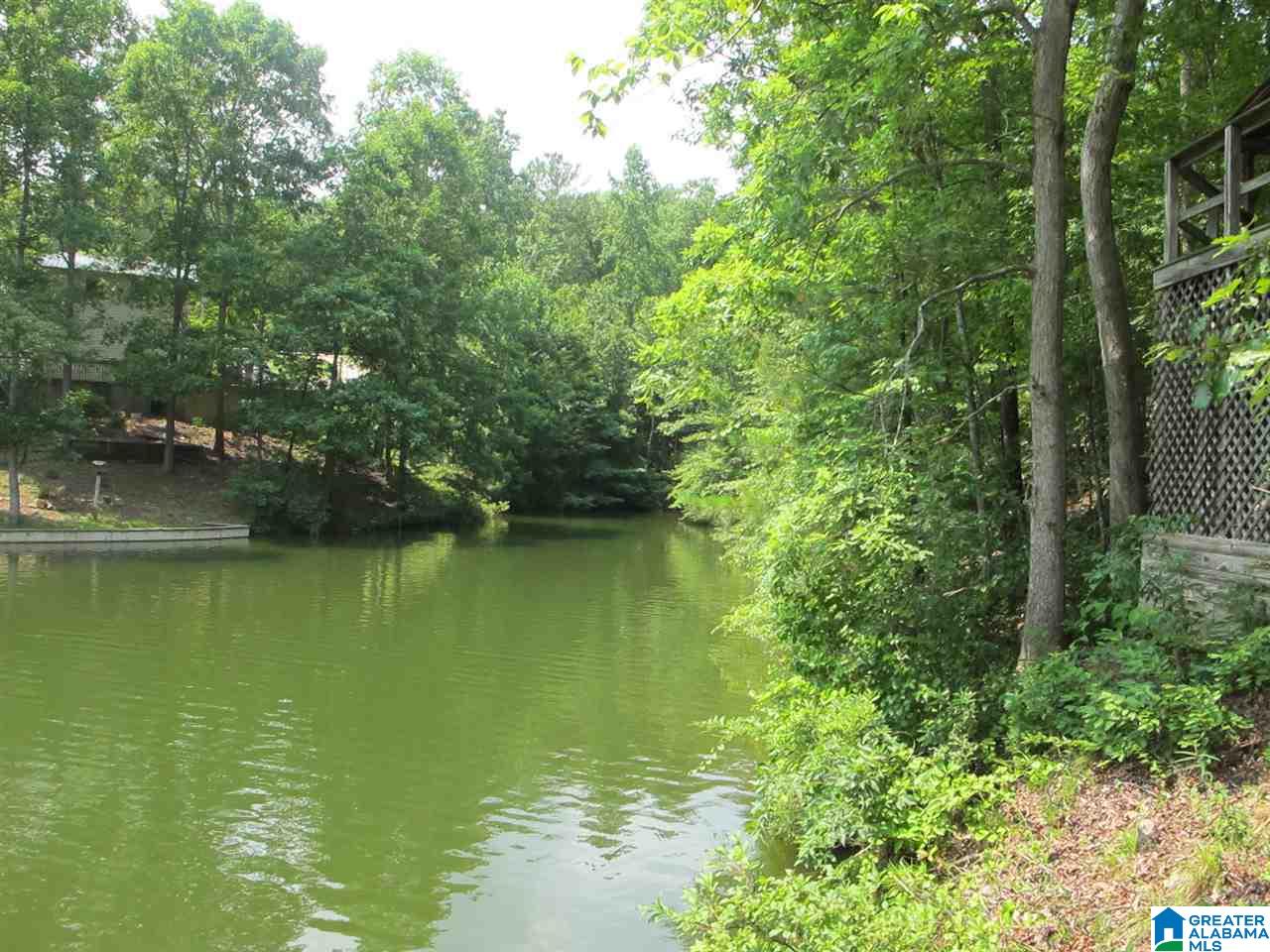 0 Edwards Drive, Unit 1 Wedowee, AL 36278 - Photo 4 of 13