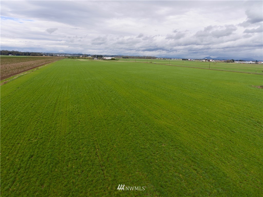 694 East Badger Road Lynden, WA 98264 - Photo 13 of 17