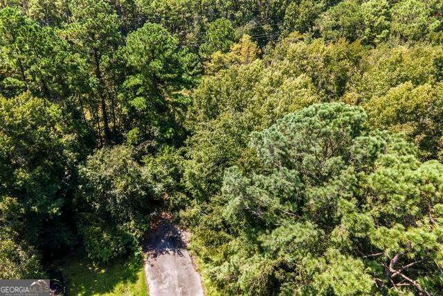 Lot 4 Dufour Rd Street St. Marys, GA 31558 - Photo 5 of 13
