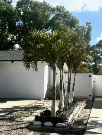 a view of a backyard of the house