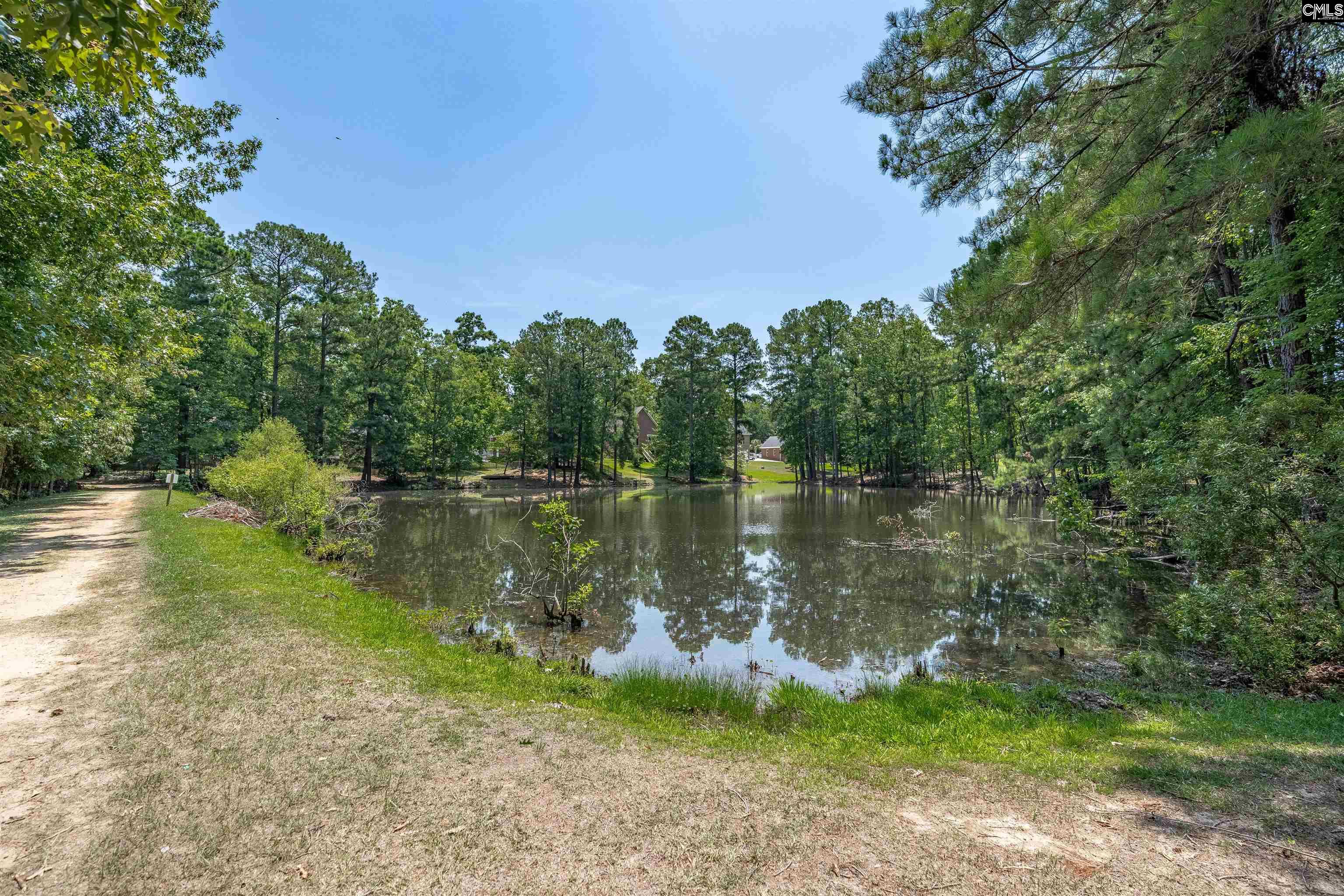 238 Hilton View Court Chapin, SC 29036 - Photo 54 of 63