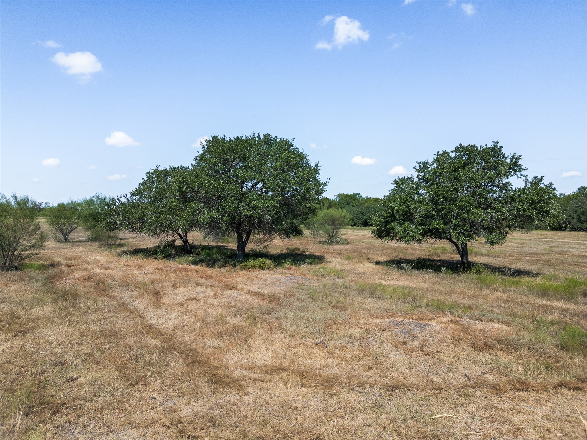 Tbd Roznov Road Round Top, TX 78954 - Photo 32 of 36 Gallery Image 32