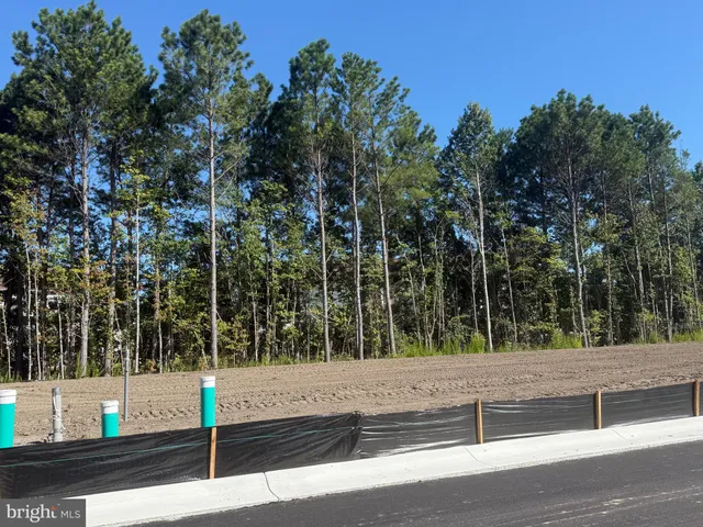 a view of an ocean and trees