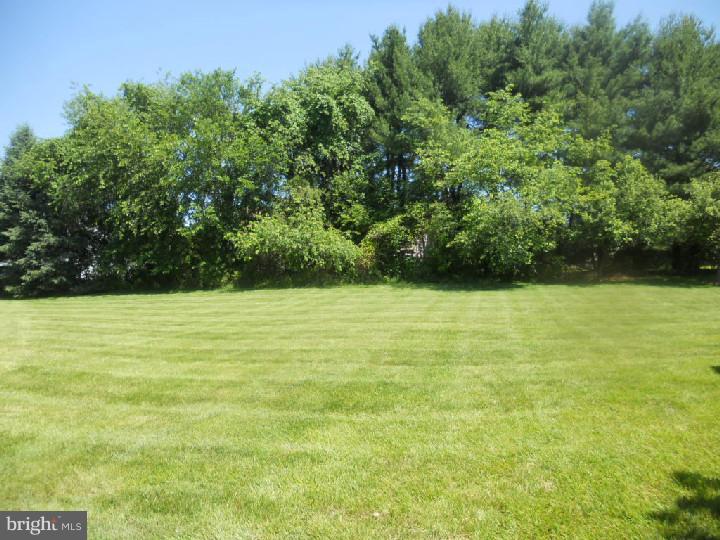 1614 Covington Road, Unit 7 Yardley, PA 19067 - Photo 5 of 5 View in Back