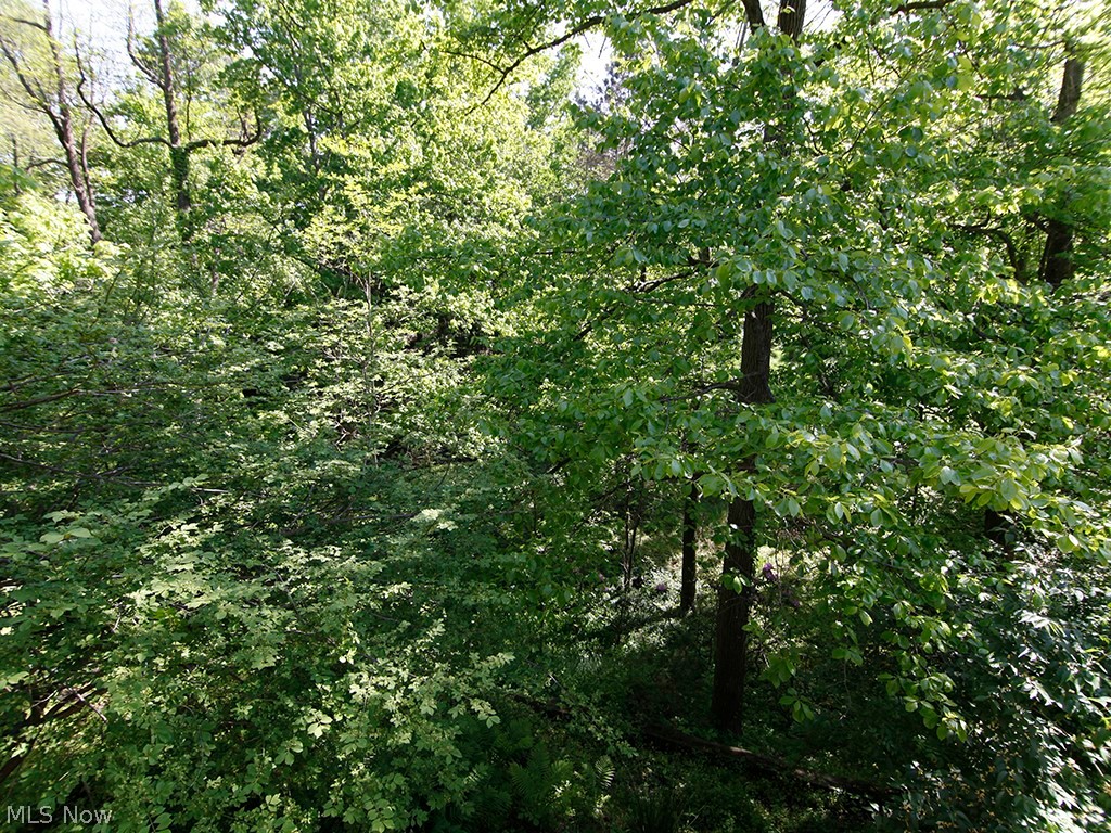 17191 Ridge Creek Road Strongsville, OH 44136 - Photo 20 of 25 Gallery Image 20