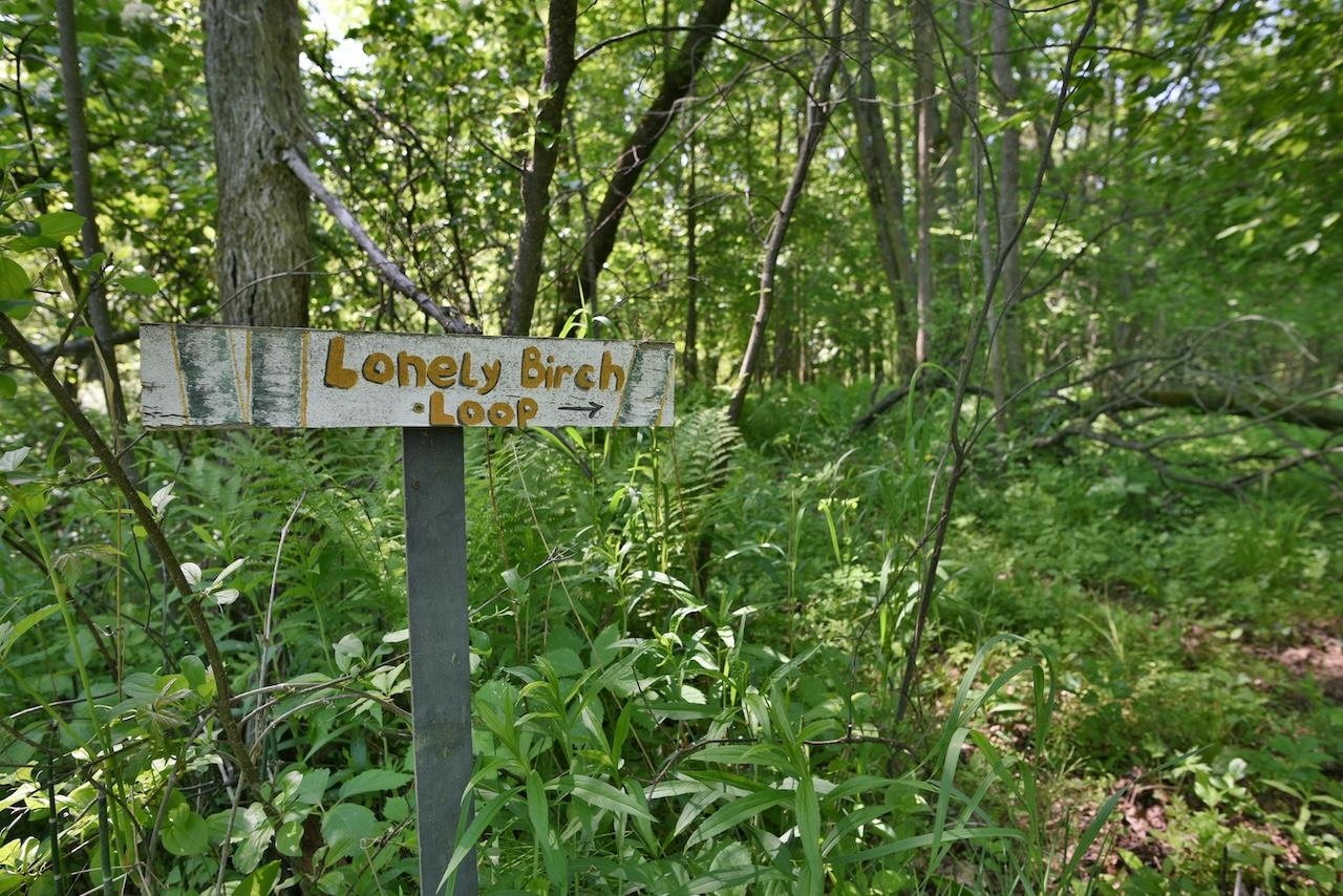 61817 Marengo River Road Marengo, WI 54855 - Photo 37 of 50