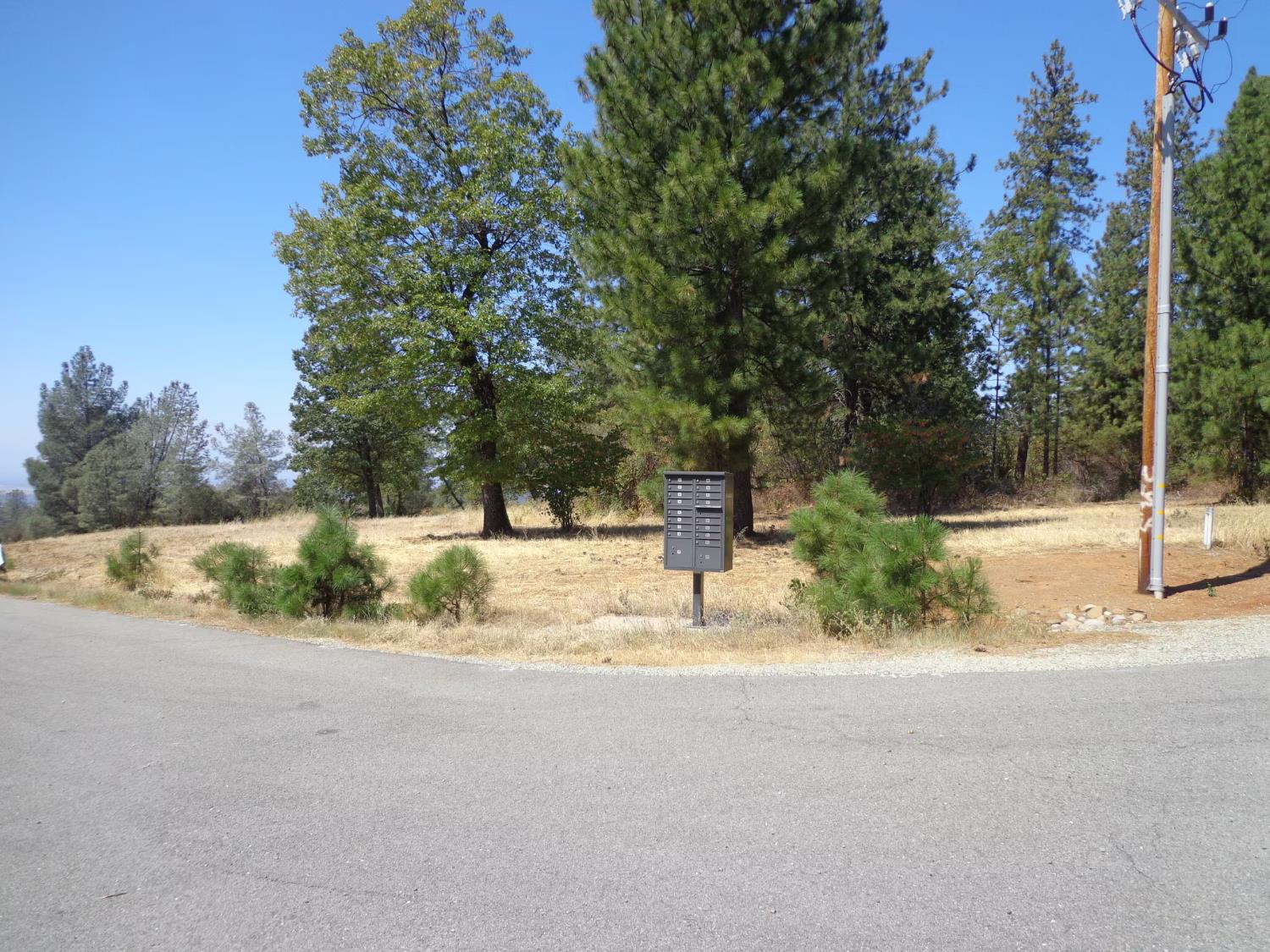 0 Black Butte Road Shingletown, CA 96088 - Photo 7 of 12 a view of a yard with a tree