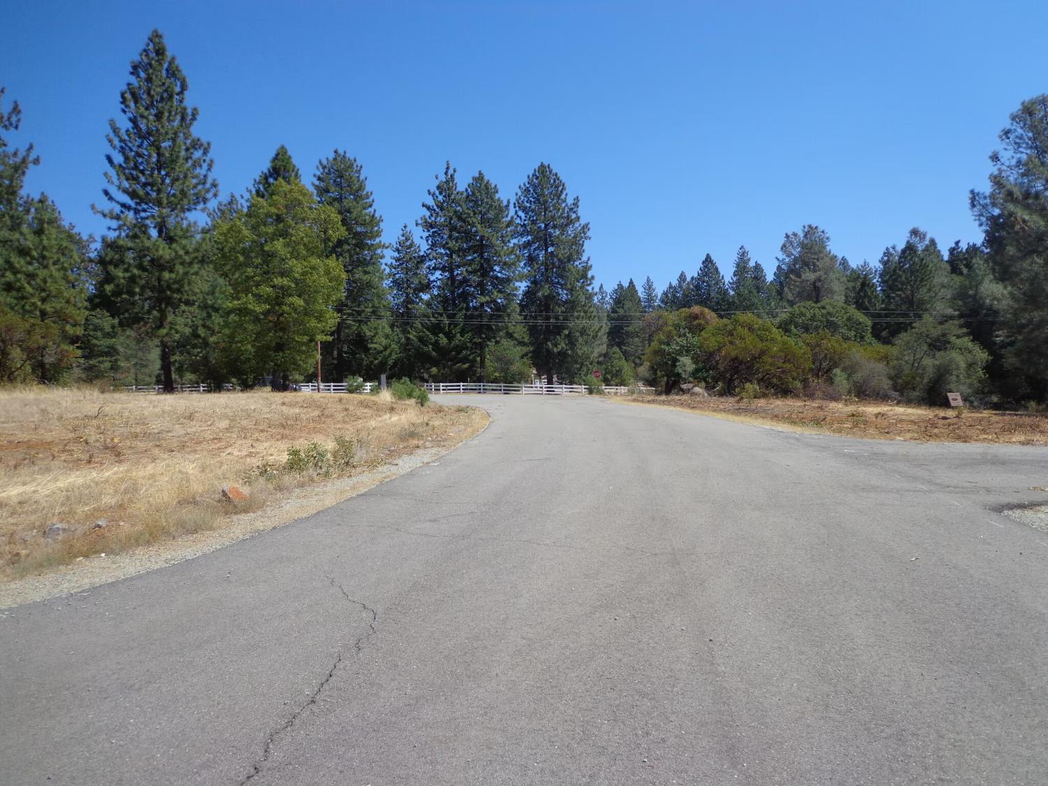 0 Black Butte Road Shingletown, CA 96088 - Photo 9 of 12 a view of a dry field with trees in the background