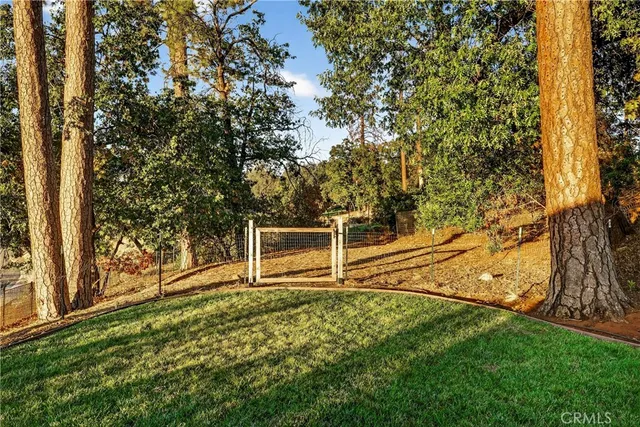 a view of a park with large trees