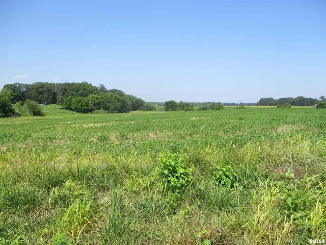 a view of a lush green outdoor space with a swimming pool and valleys in the background