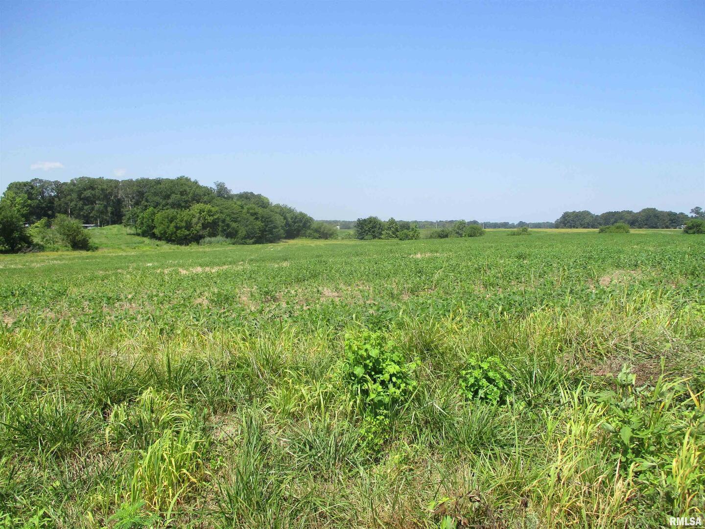 a view of a lush green outdoor space with a swimming pool and valleys in the background