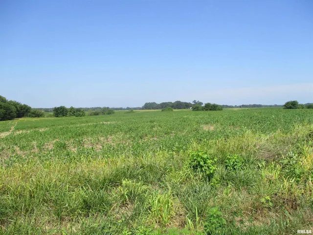 a view of a field with a building in background