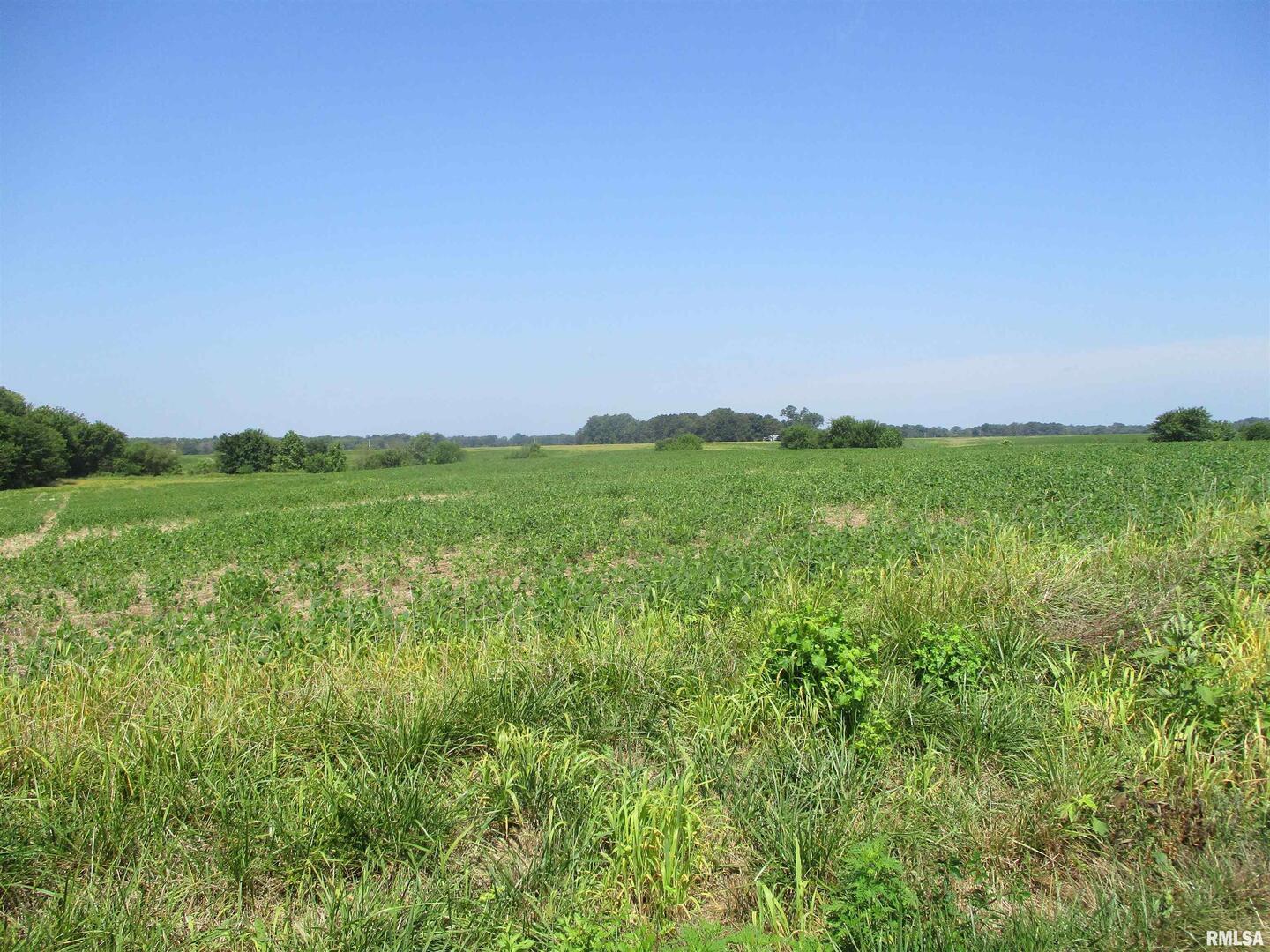 0 Bean Road Whittington, IL 62897 - Photo 2 of 8 a view of a field with a building in background