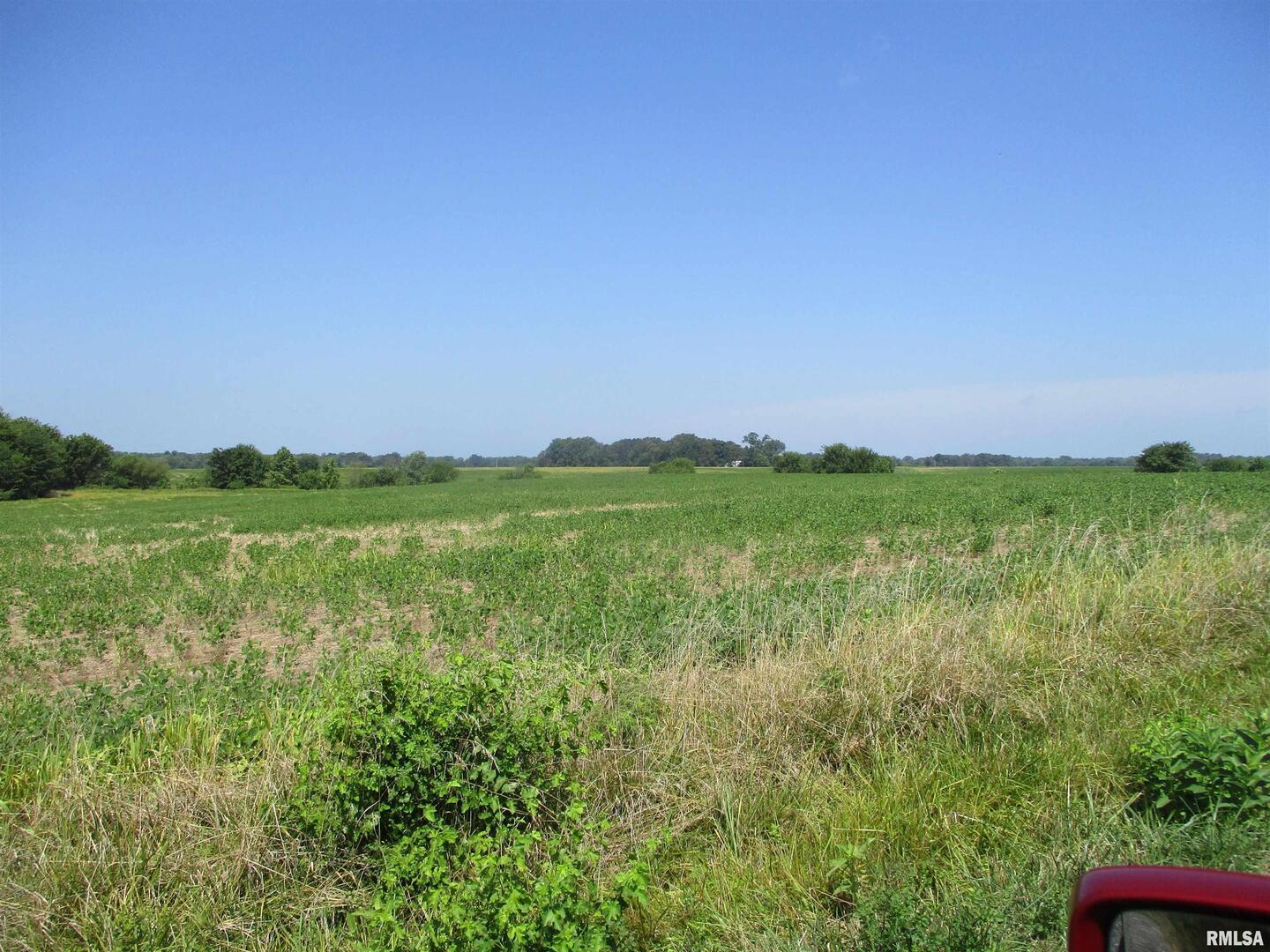 0 Bean Road Whittington, IL 62897 - Photo 5 of 8 a view of a green field with an ocean view