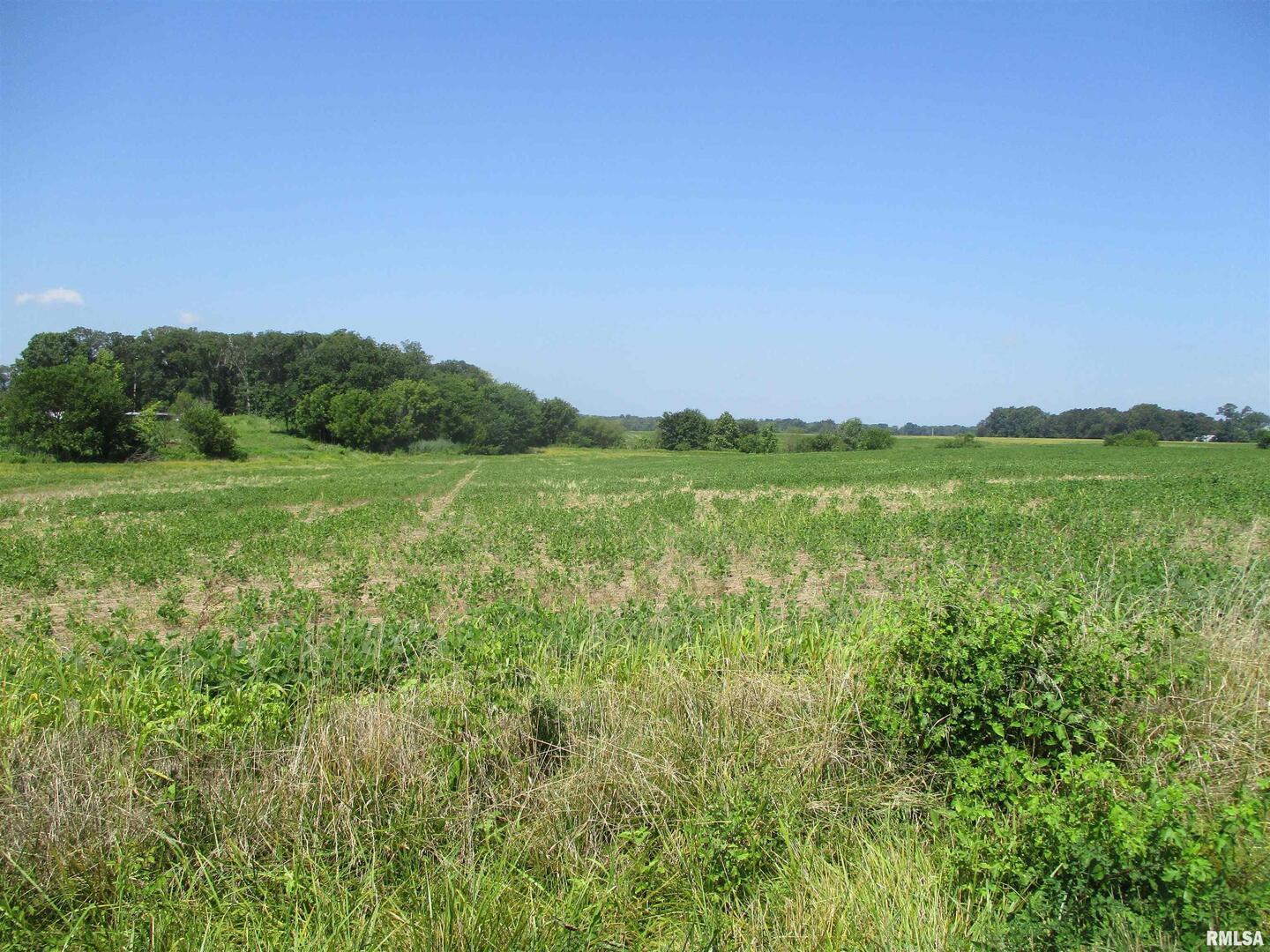 0 Bean Road Whittington, IL 62897 - Photo 6 of 8 a view of a field with an ocean and trees