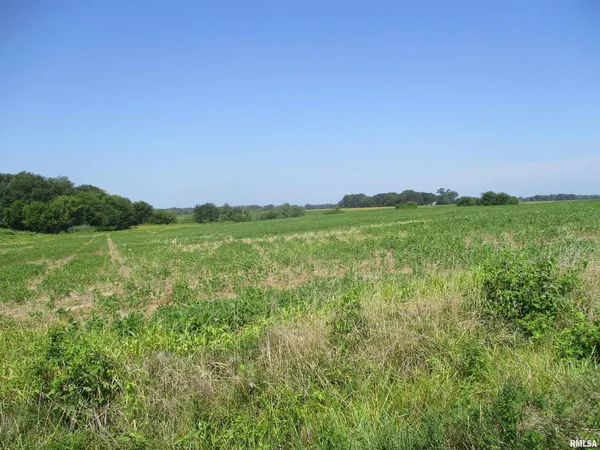 $500,000 | 0 Bean Road, Whittington, IL 62897