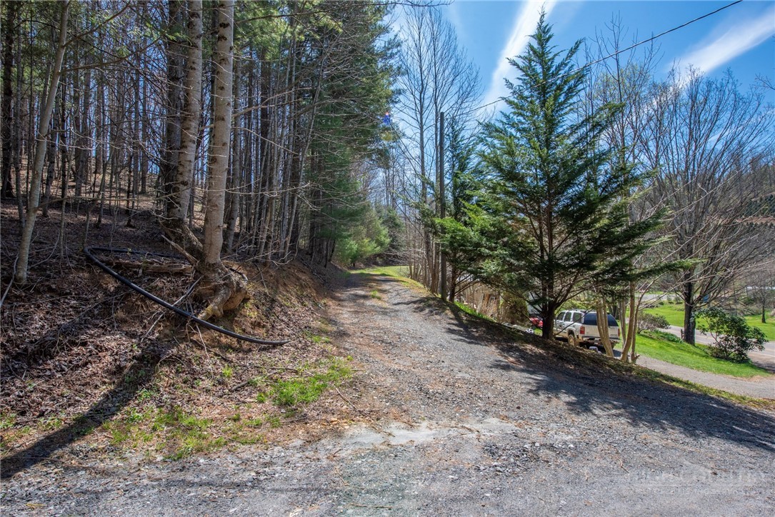 1848 West Mill Creek Road Warrensville, NC 28693 - Photo 47 of 50 a view of a forest filled with trees