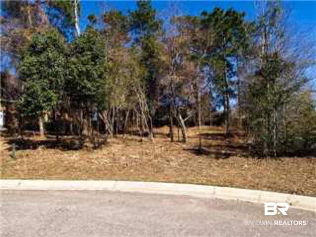 2335 Abbington Drive Mobile, AL 36695 - Photo 1 of 6