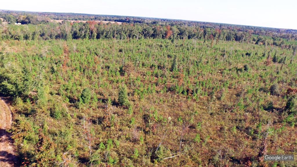0 Greenhouse Road Gordon, AL 36343 - Photo 2 of 38