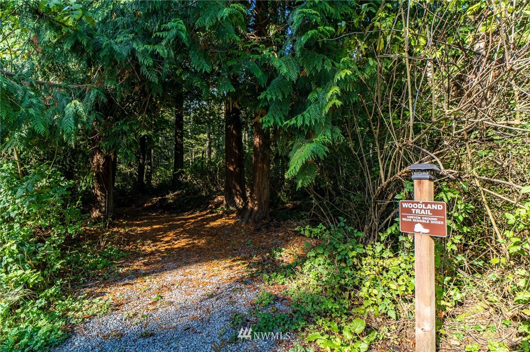 975 North Good Road Camano Island, WA 98282 - Photo 38 of 39 Gallery Image 38
