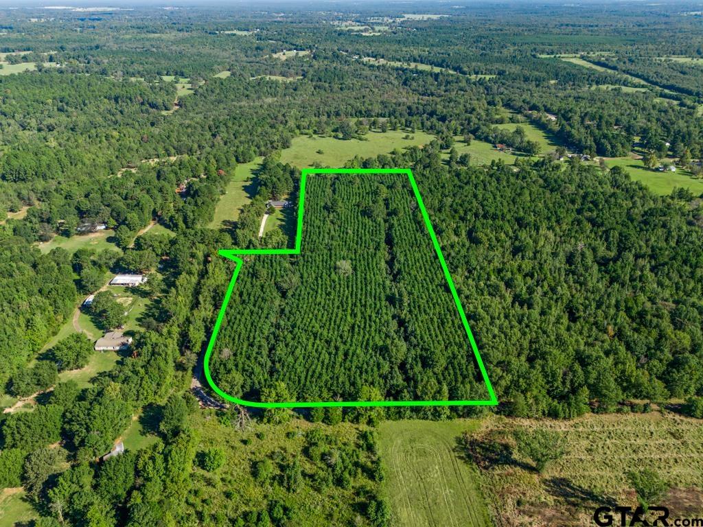 Tbd Cat Road Gilmer, TX 75644 - Photo 1 of 22 a view of a green field with lots of bushes