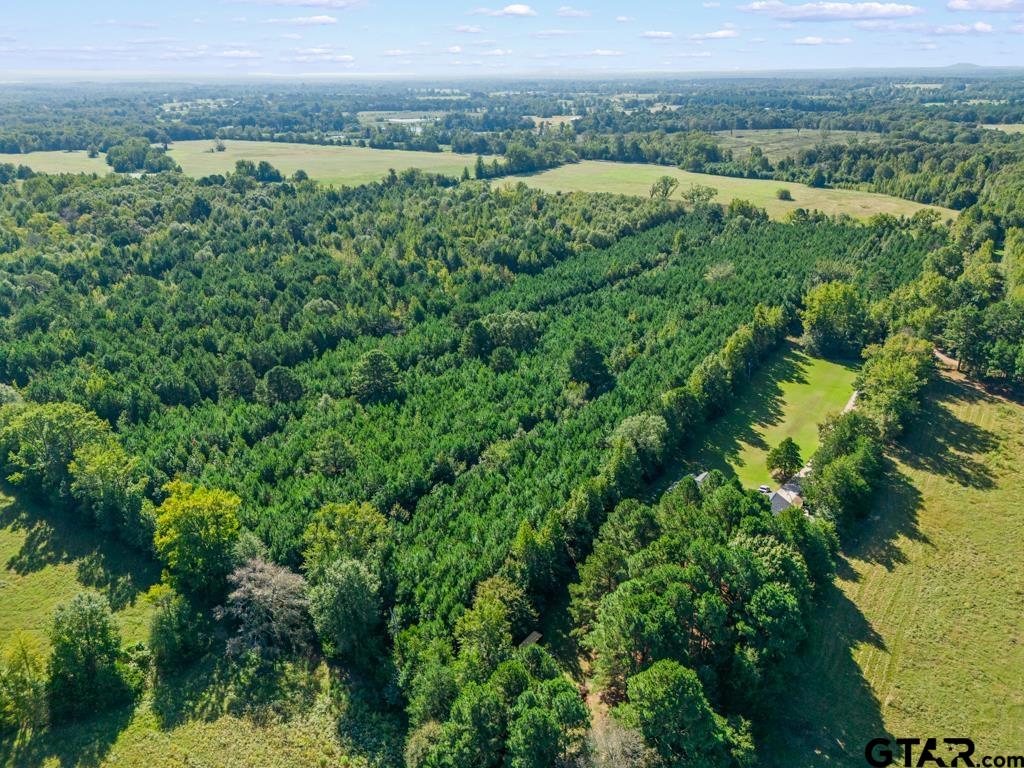 Tbd Cat Road Gilmer, TX 75644 - Photo 13 of 22 an aerial view of green landscape with trees houses and lake view