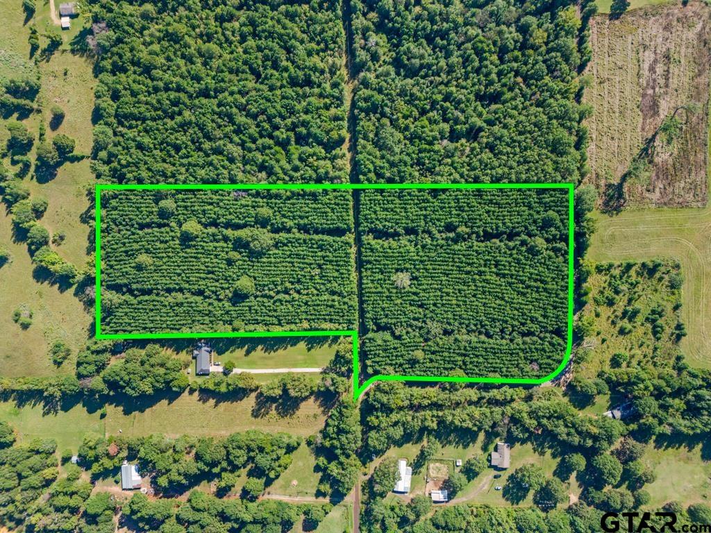 Tbd Cat Road Gilmer, TX 75644 - Photo 14 of 22 a backyard of a house with lots of green space