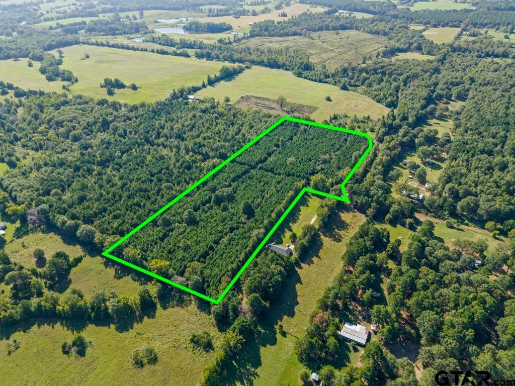 Tbd Cat Road Gilmer, TX 75644 - Photo 15 of 22 a view of a lake with a yard and large trees