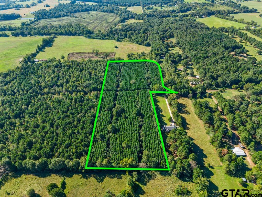 Tbd Cat Road Gilmer, TX 75644 - Photo 16 of 22 a view of lake view