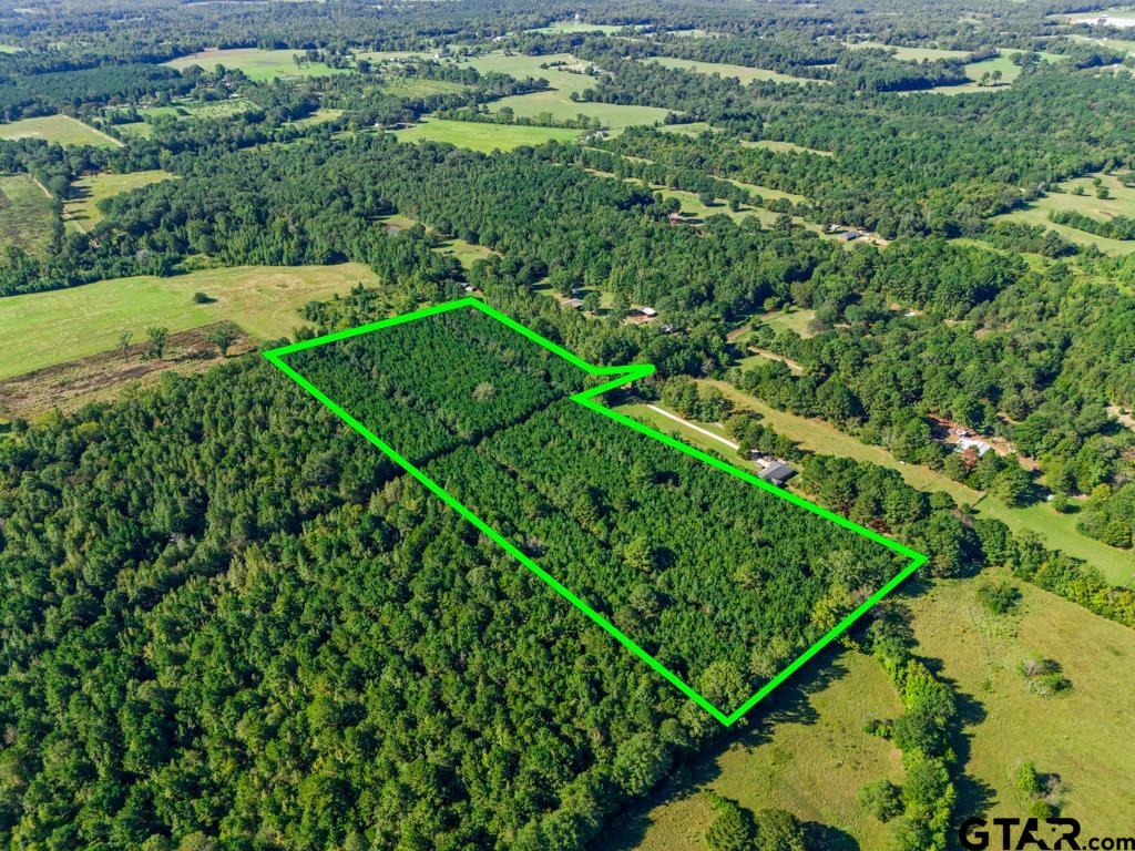 Tbd Cat Road Gilmer, TX 75644 - Photo 17 of 22 a view of a green yard with large trees