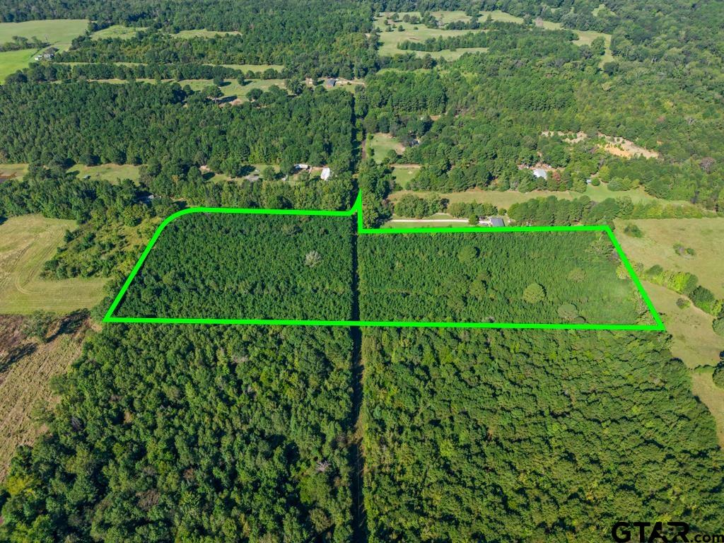 Tbd Cat Road Gilmer, TX 75644 - Photo 18 of 22 a view of a garden