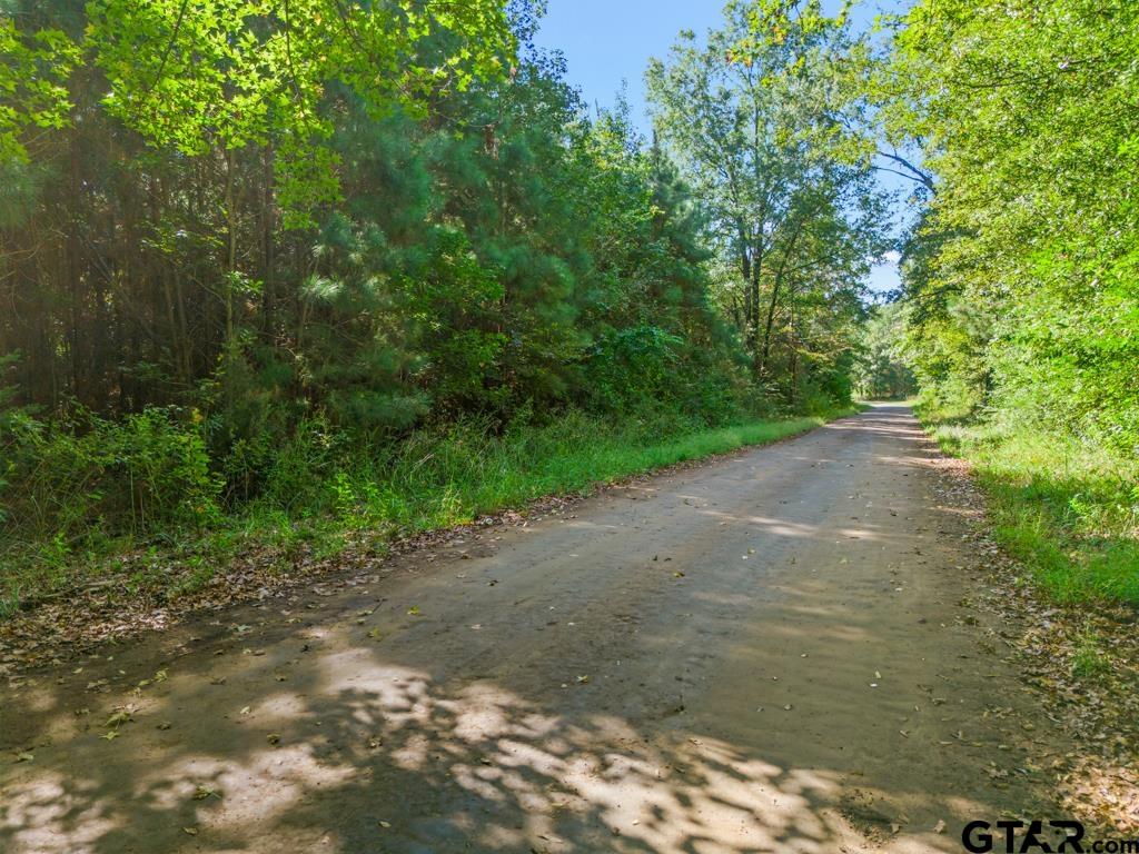 Tbd Cat Road Gilmer, TX 75644 - Photo 21 of 22 a view of a dirt road with trees in the background