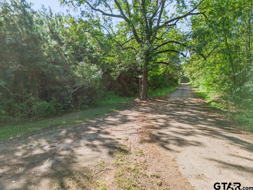 Tbd Cat Road Gilmer, TX 75644 - Photo 22 of 22 a view of a yard with a tree