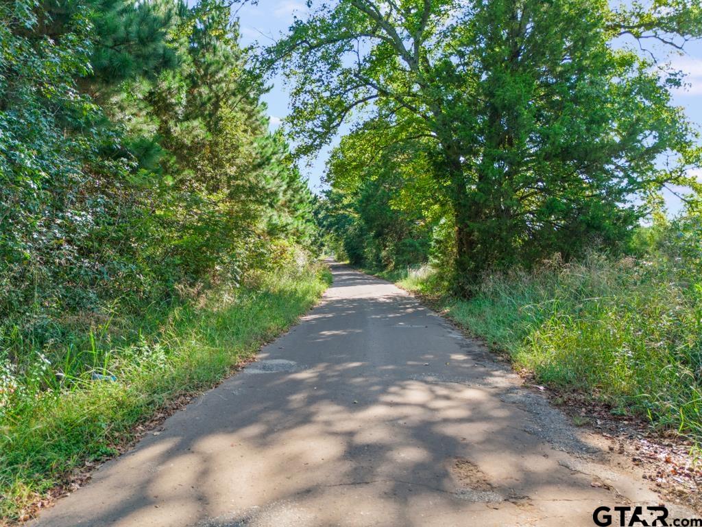Tbd Cat Road Gilmer, TX 75644 - Photo 3 of 22 a view of a street with a trees