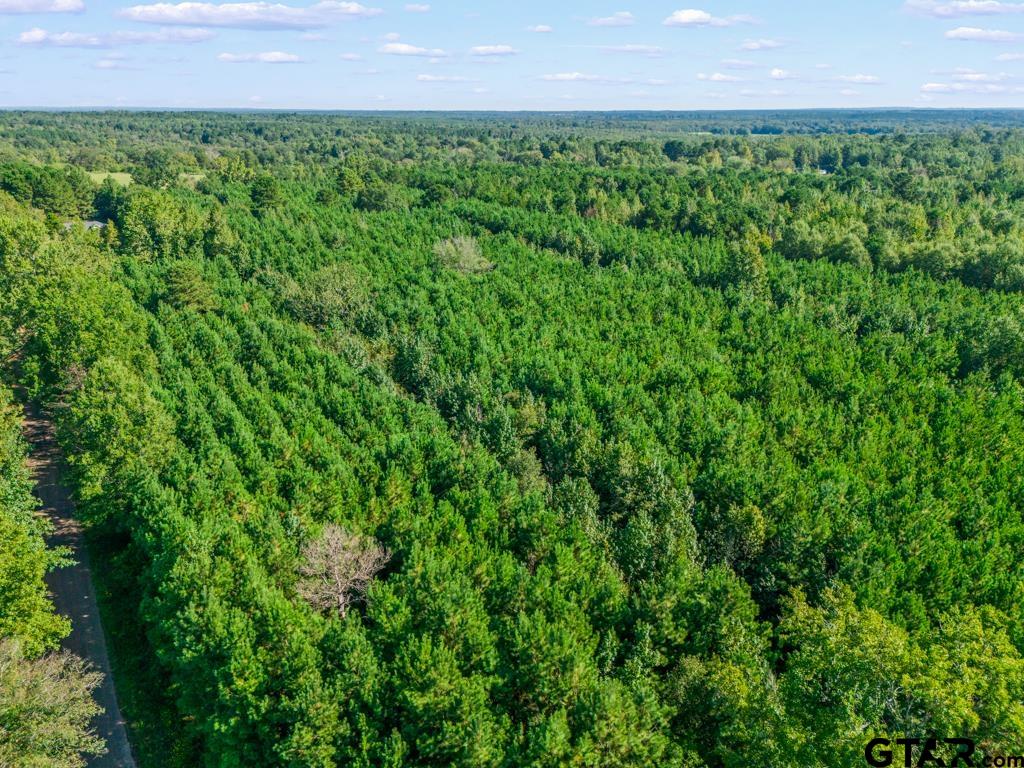 Tbd Cat Road Gilmer, TX 75644 - Photo 4 of 22 a view of a bunch of green field