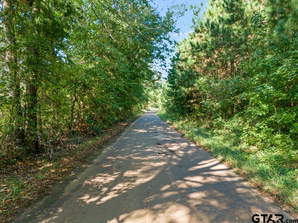 Tbd Cat Road Gilmer, TX 75644 - Photo 6 of 22
