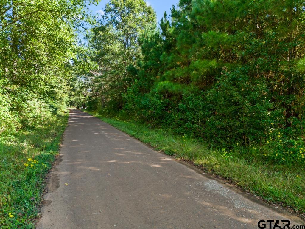 Tbd Cat Road Gilmer, TX 75644 - Photo 7 of 22 a view of a road with plants on both side of it