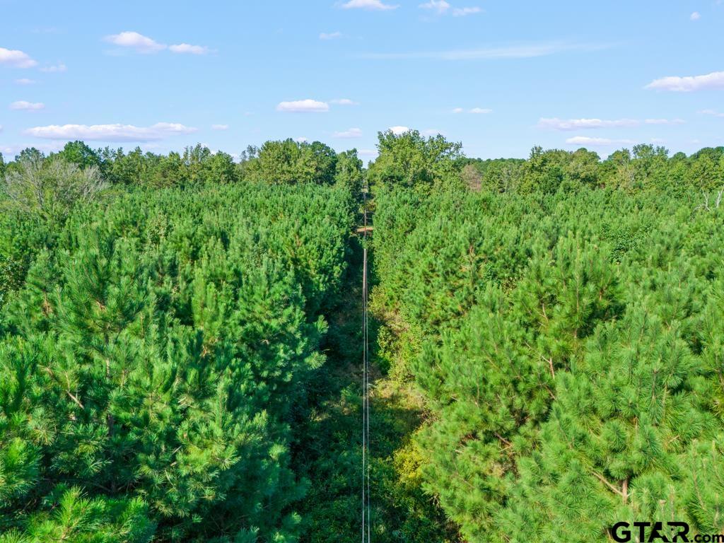 Tbd Cat Road Gilmer, TX 75644 - Photo 10 of 22 a view of a garden