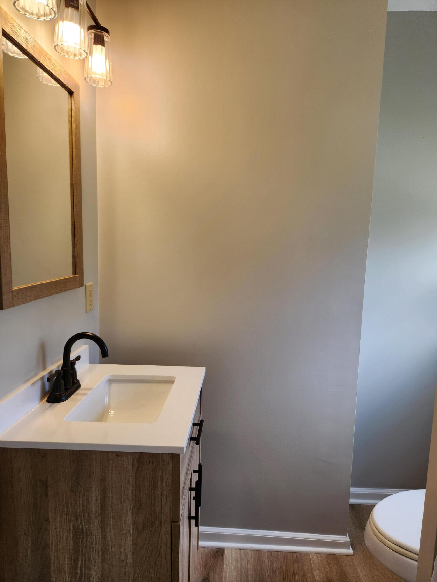 101 Union Road Ferrum, VA 24088 - Photo 19 of 41 a bathroom with a sink a toilet and mirror